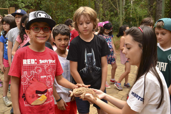 Buy your photos of the eventNR1 - Cl�ssico  18 a 20/10/17 on Fotop