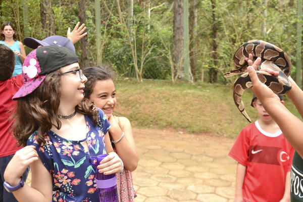 Buy your photos of the eventNR1 - Cl�ssico  18 a 20/10/17 on Fotop