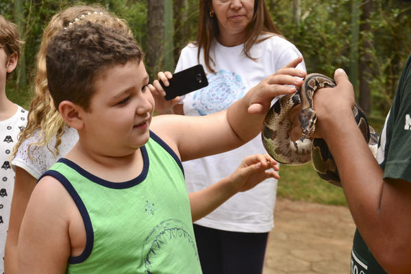 Buy your photos of the eventNR1 - Cl�ssico  18 a 20/10/17 on Fotop