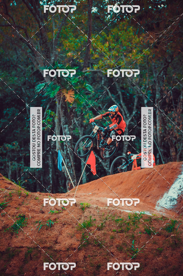 Buy your photos of the eventCopa Am�rica de Down Hill 4X on Fotop