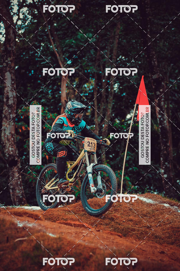 Buy your photos of the eventCopa Am�rica de Down Hill 4X on Fotop