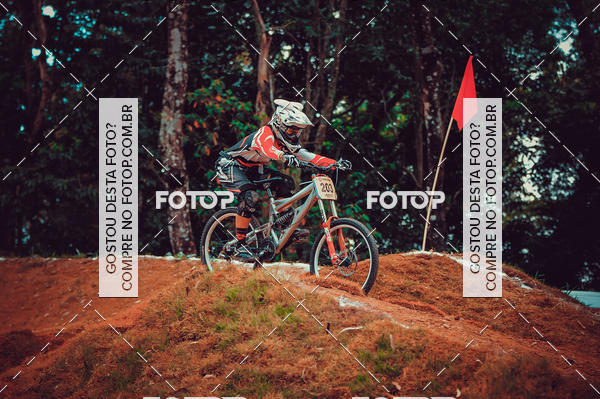 Buy your photos of the eventCopa Am�rica de Down Hill 4X on Fotop