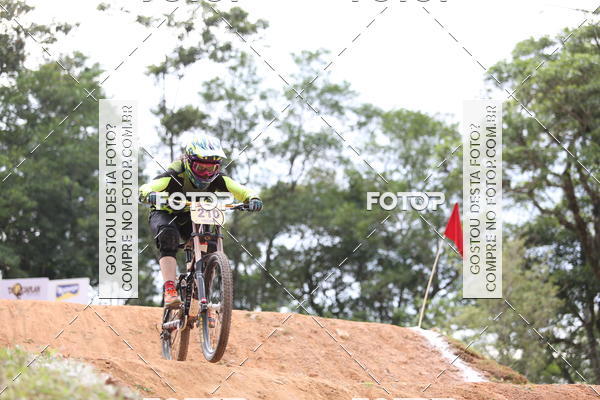 Buy your photos of the eventCopa Am�rica de Down Hill 4X on Fotop