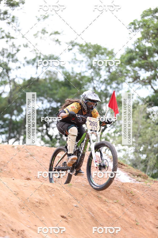 Buy your photos of the eventCopa Am�rica de Down Hill 4X on Fotop
