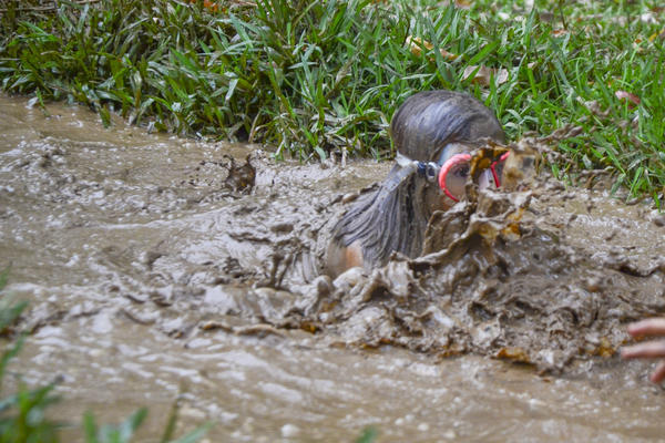 Buy your photos of the eventNR1 � Ol� 6� Ano �  20 a 22/10/17 on Fotop