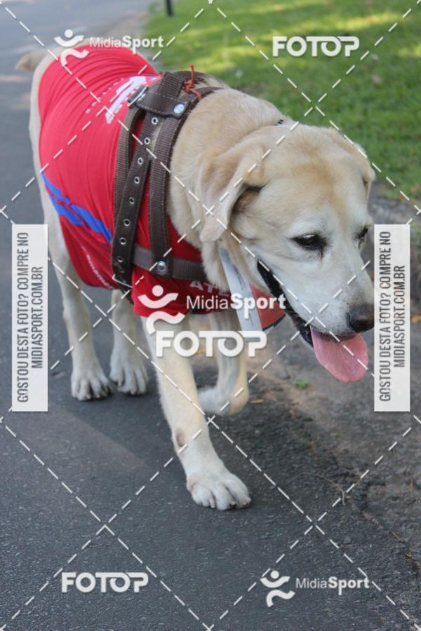 Buy your photos of the eventCircuito do Sol - BH on Fotop