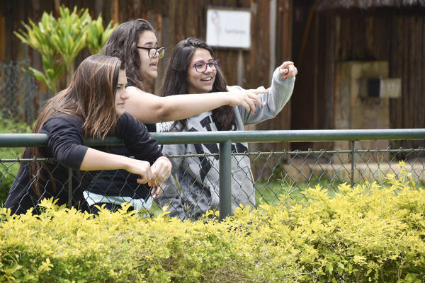 Buy your photos of the eventNR Fun 25 a 29/10/17 on Fotop