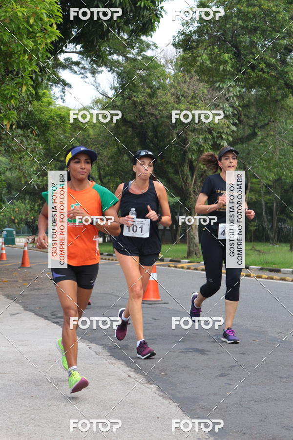 Buy your photos of the event35� CORRIDA MONTE L�BANO - 6km on Fotop
