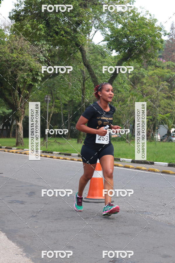 Buy your photos of the event35� CORRIDA MONTE L�BANO - 6km on Fotop
