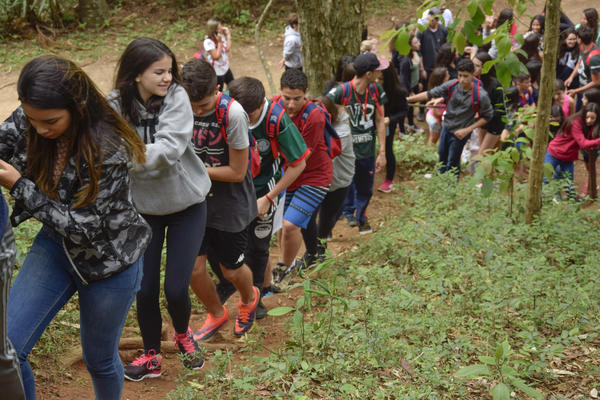 Buy your photos of the eventNR SUN - 29 a 01/11/17 on Fotop