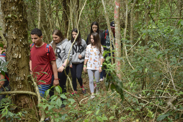 Buy your photos of the eventNR SUN - 29 a 01/11/17 on Fotop