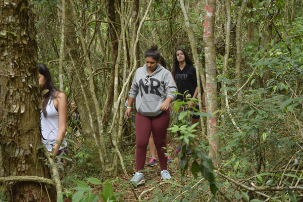 Buy your photos of the eventNR SUN - 29 a 01/11/17 on Fotop