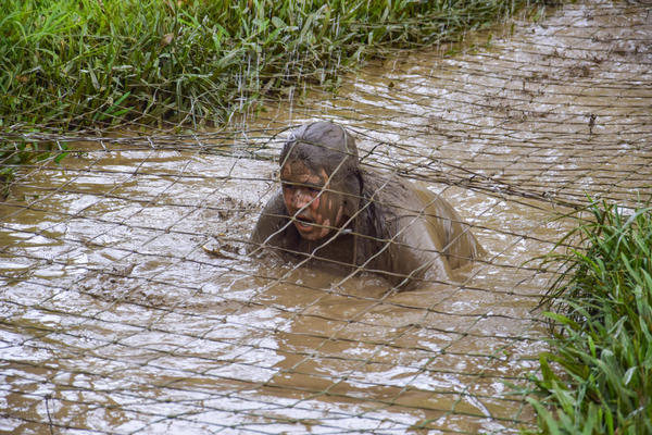 Buy your photos of the eventNR SUN - 29 a 01/11/17 on Fotop