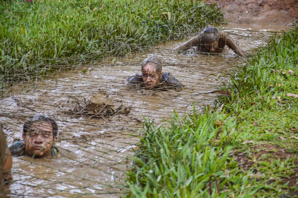 Buy your photos of the eventNR SUN - 29 a 01/11/17 on Fotop