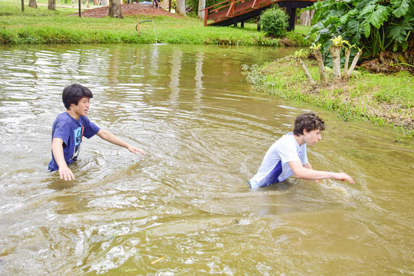 Buy your photos of the eventNR SUN - 29 a 01/11/17 on Fotop