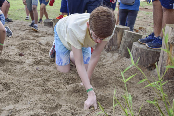 Buy your photos of the eventNR SUN - 29 a 01/11/17 on Fotop