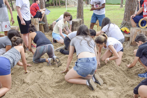 Buy your photos of the eventNR SUN - 29 a 01/11/17 on Fotop