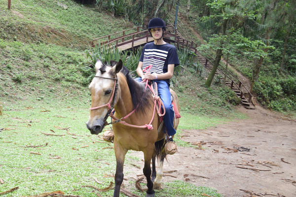 Buy your photos of the eventNR SUN - 29 a 01/11/17 on Fotop