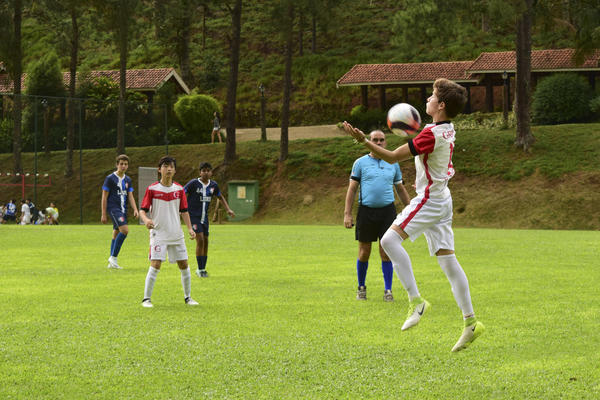 Buy your photos of the eventNR2 - Little 8  29 a 01/11/17 on Fotop