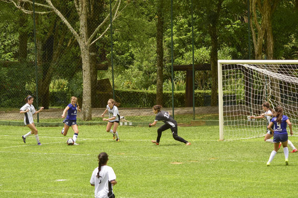 Buy your photos of the eventNR2 - Little 8  29 a 01/11/17 on Fotop