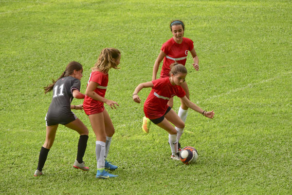 Buy your photos of the eventNR2 - Little 8  29 a 01/11/17 on Fotop