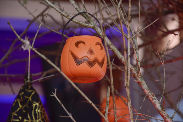 Buy your photos of the eventNR2 - Little 8  29 a 01/11/17 on Fotop