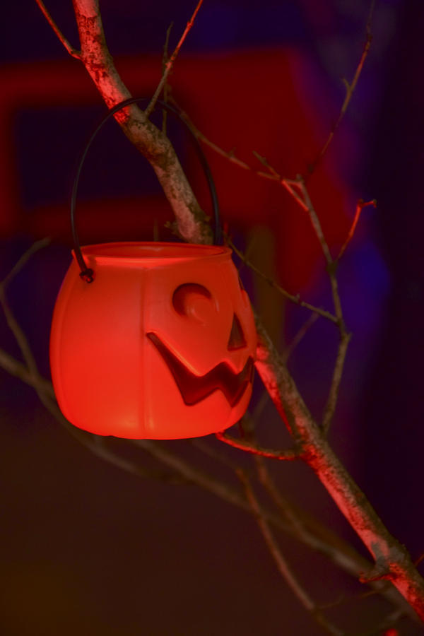 Buy your photos of the eventNR2 - Little 8  29 a 01/11/17 on Fotop