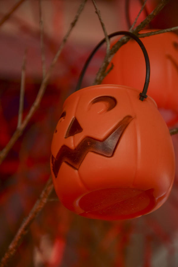 Buy your photos of the eventNR2 - Little 8  29 a 01/11/17 on Fotop