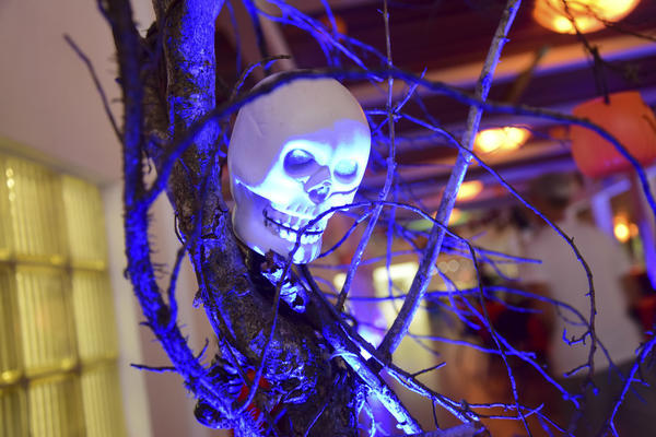 Buy your photos of the eventNR2 - Little 8  29 a 01/11/17 on Fotop