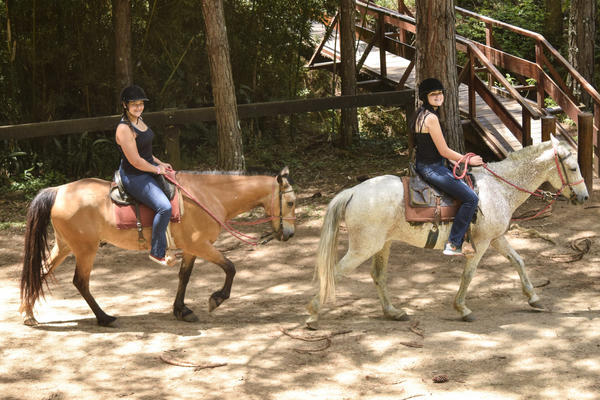 Buy your photos of the eventNR SUN - 01 a 05/11/17 on Fotop