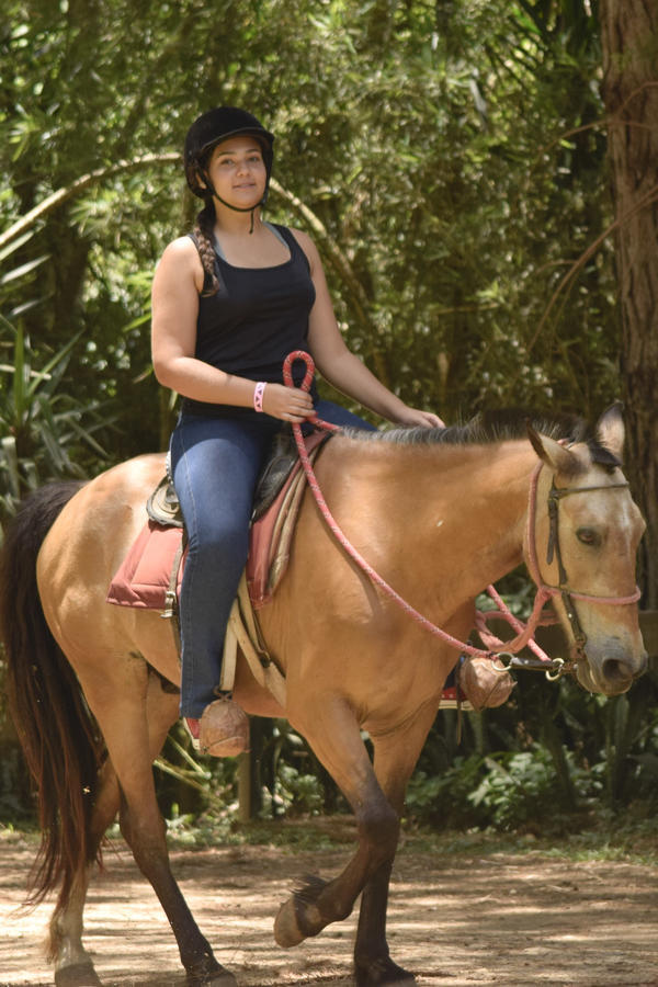 Buy your photos of the eventNR SUN - 01 a 05/11/17 on Fotop