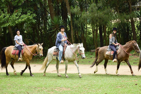 Buy your photos of the eventNR SUN - 01 a 05/11/17 on Fotop