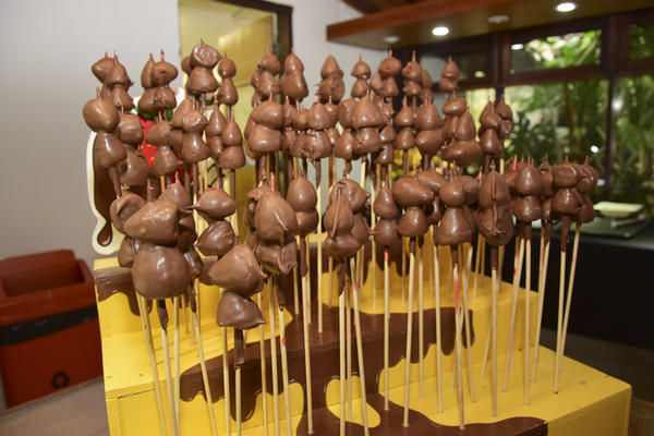 Buy your photos of the eventNR2 -Little 8  - 01 a 04/11/17 on Fotop