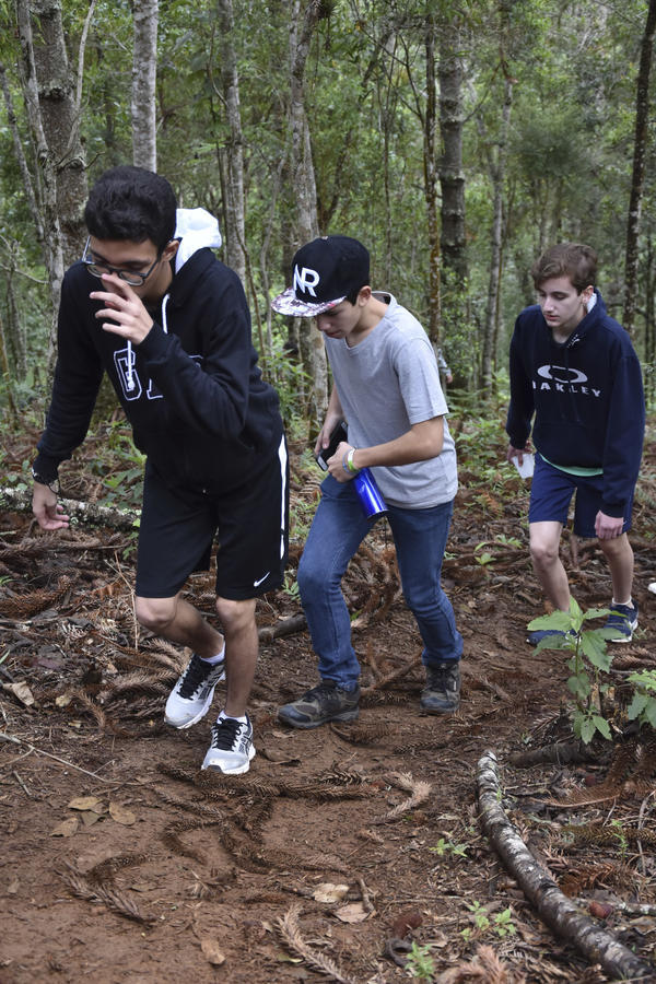 Buy your photos of the eventNR Fun 04 a 08/11/17 on Fotop