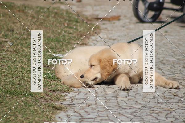 Buy your photos of the eventIronman 70.3 Rio de Janeiro on Fotop