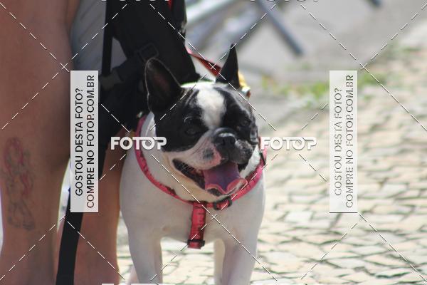 Buy your photos of the eventIronman 70.3 Rio de Janeiro on Fotop