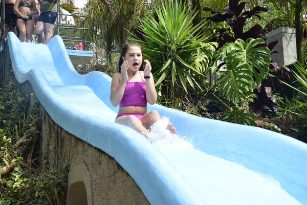 Buy your photos of the eventNR1 � Ol� 6� Ano � 08 a 10/11/17   on Fotop