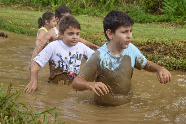 Buy your photos of the eventNR1 � Ol� 6� Ano � 08 a 10/11/17   on Fotop