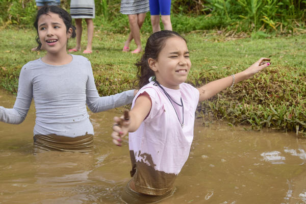 Buy your photos of the eventNR1 � Ol� 6� Ano � 08 a 10/11/17   on Fotop