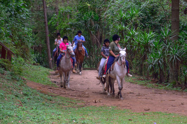 Buy your photos of the eventNR1 � Ol� 6� Ano � 08 a 10/11/17   on Fotop
