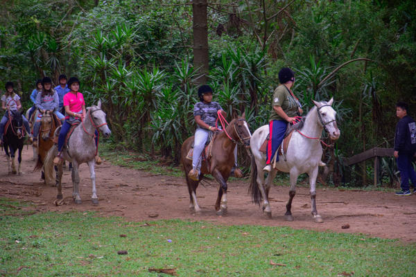 Buy your photos of the eventNR1 � Ol� 6� Ano � 08 a 10/11/17   on Fotop