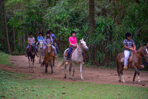 Buy your photos of the eventNR1 � Ol� 6� Ano � 08 a 10/11/17   on Fotop