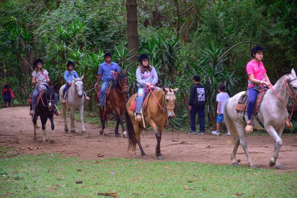 Buy your photos of the eventNR1 � Ol� 6� Ano � 08 a 10/11/17   on Fotop