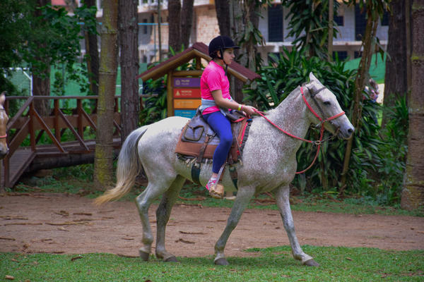 Buy your photos of the eventNR1 � Ol� 6� Ano � 08 a 10/11/17   on Fotop