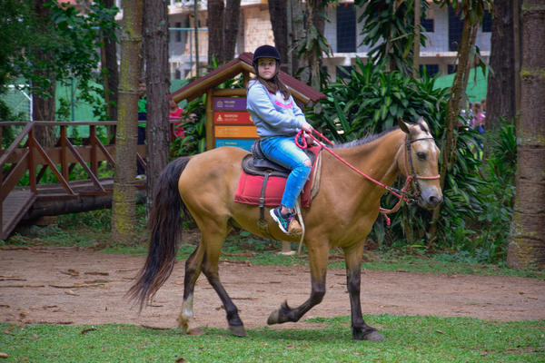 Buy your photos of the eventNR1 � Ol� 6� Ano � 08 a 10/11/17   on Fotop