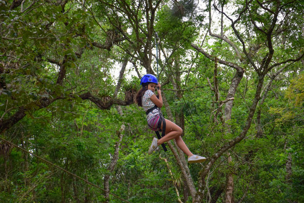 Buy your photos of the eventNR1 � Ol� 6� Ano � 08 a 10/11/17   on Fotop