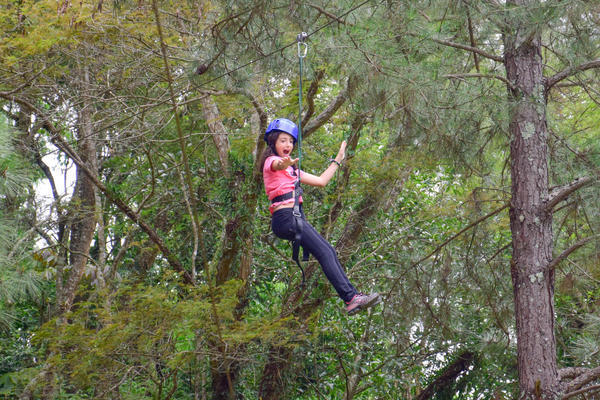 Buy your photos of the eventNR1 � Ol� 6� Ano � 08 a 10/11/17   on Fotop