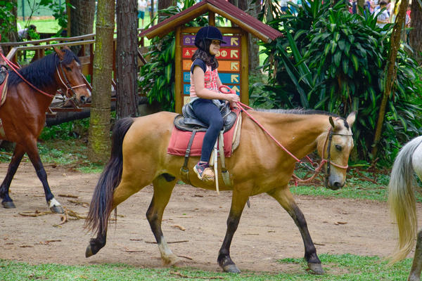 Buy your photos of the eventNR1 � Ol� 6� Ano � 08 a 10/11/17   on Fotop