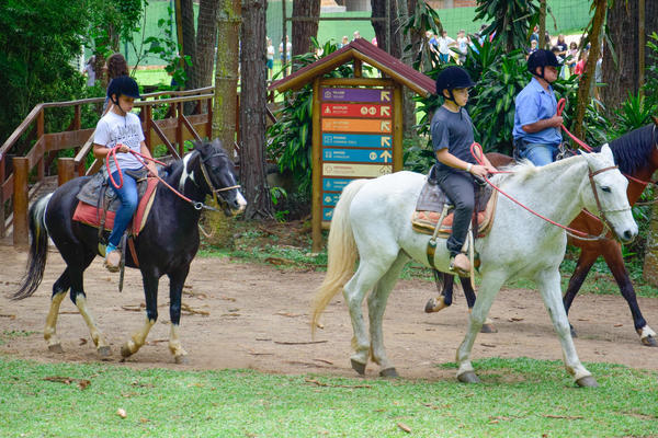 Buy your photos of the eventNR1 � Ol� 6� Ano � 08 a 10/11/17   on Fotop