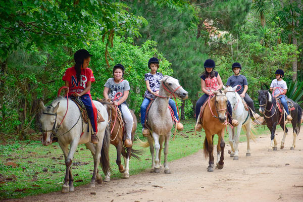 Buy your photos of the eventNR1 � Ol� 6� Ano � 08 a 10/11/17   on Fotop